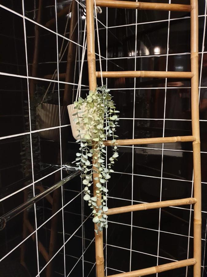 Vivenda Oliveira - Alojamento Local Lamego Zewnętrze zdjęcie